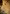 Der goldene digitale Schalter von JUNG auf einer Design-Badezimmertapete mit Naturmotiven