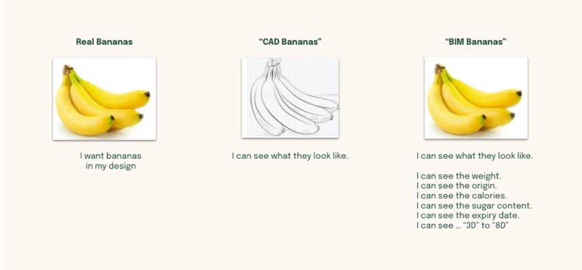 Infografica con banane rappresentante le differenze tra oggetto reale, CAD e BIM
