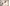 3D-BIM-Rendering von Wandmaterialien und Strukturschichten.